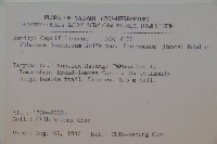 紅子莢迷藏品圖，第2張