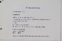 登錄號:S087702藏品圖，第2張