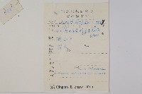 華西忍冬藏品圖，第2張