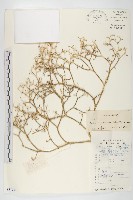 登錄號:S087744藏品圖，第1張