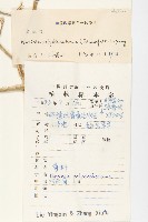 登錄號:S087744藏品圖，第2張