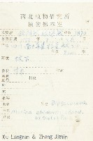 圓萼刺續斷藏品圖，第2張