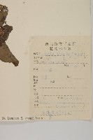 登錄號:S087763藏品圖，第2張