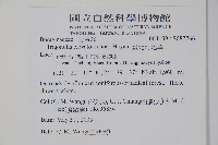 臺北附地草藏品圖，第2張