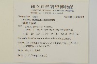 玉山抱莖籟簫藏品圖，第2張