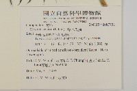 鈴木氏薊藏品圖，第2張