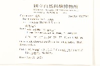 玉山毛蓮菜藏品圖，第2張