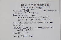 康復力藏品圖，第2張