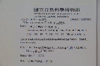 松田氏莢迷、宜昌莢迷藏品圖，第2張