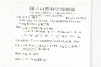 臺灣馬桑藏品圖，第2張