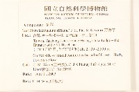 刀傷草藏品圖，第2張