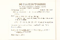 一枝黃花藏品圖，第2張