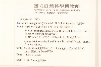 刀傷草藏品圖，第2張