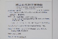 臺灣赤楊、臺灣榿木藏品圖，第2張