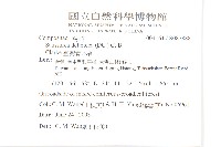 臺灣青木香藏品圖，第2張