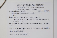 武靴藤藏品圖，第2張