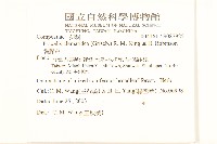 貓腥草藏品圖，第2張