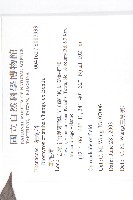 軟毛柿藏品圖，第2張