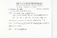 梜木藏品圖，第2張