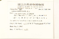 黃菀藏品圖，第2張