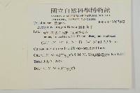 刺果衛矛藏品圖，第2張