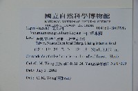 玉山糯米樹、狹葉糯米樹藏品圖，第2張