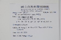 盾果草藏品圖，第2張