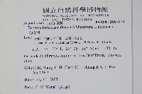 水鴨腳藏品圖，第2張