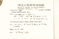 黃菀藏品圖，第2張