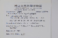 臺灣藤漆藏品圖，第2張