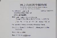 硬齒獼猴桃藏品圖，第2張