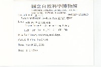 疏花佛甲草藏品圖，第2張