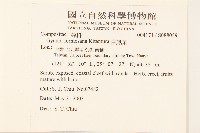 白鳳菜藏品圖，第2張