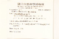 雙花蟛蜞菊藏品圖，第2張