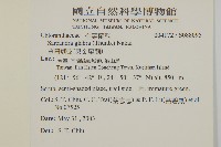 草珊瑚、紅果金粟蘭藏品圖，第2張