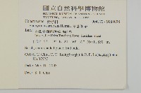 厚葉衛矛, 源一木藏品圖，第2張