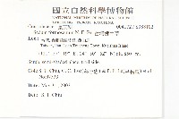 台灣佛甲草、石板菜藏品圖，第2張