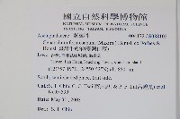 臺灣牛皮消、臺灣白薇藏品圖，第2張