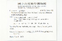 四照花藏品圖，第2張