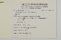 蠅子草藏品圖，第2張