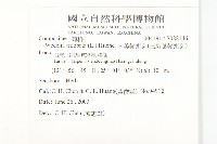 南美蟛蜞菊、三裂葉蟛蜞菊藏品圖，第2張