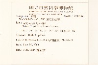 雙花蟛蜞菊藏品圖，第2張