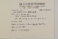 臺灣狗娃花藏品圖，第2張