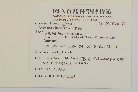 狗筋蔓藏品圖，第2張