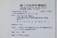 普刺特草藏品圖，第2張