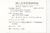 玉山筷子芥藏品圖，第2張