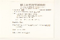 玉山飛蓬藏品圖，第2張