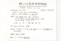 玉山筷子芥藏品圖，第5張