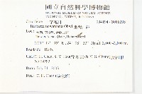 山芥菜藏品圖，第2張