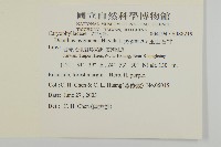 玉山石竹藏品圖，第2張